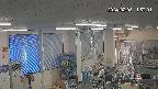 area1-20240208115002.jpg