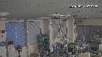 area1-20240214070002.jpg