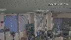 area1-20240214071002.jpg