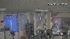 area1-20240214122002.jpg