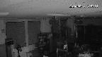 area1-20240214185003.jpg