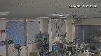 area1-20240215072002.jpg