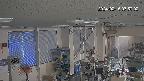 area1-20240215075002.jpg
