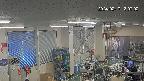 area1-20240217130003.jpg