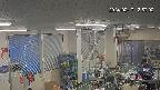 area1-20240217135003.jpg