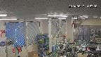 area1-20240217142003.jpg
