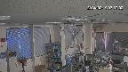 area1-20240219070003.jpg