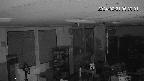 area1-20240221053002.jpg