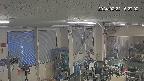 area1-20240222152003.jpg