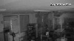 area1-20240224062003.jpg