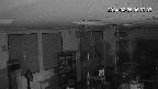 area1-20240225060004.jpg