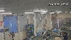 area1-20240229142003.jpg