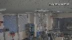 area1-20240304062003.jpg