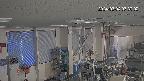 area1-20240304073003.jpg