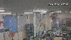 area1-20240304152003.jpg