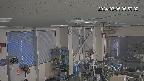 area1-20240305065003.jpg