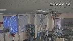 area1-20240305071003.jpg