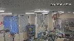 area1-20240305102002.jpg