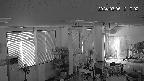 area1-20240306121003.jpg