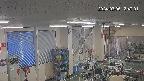 area1-20240306134003.jpg