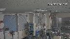 area1-20240307061003.jpg