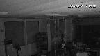 area1-20240307182003.jpg
