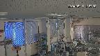 area1-20240311122003.jpg