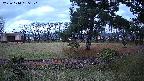 area4-20231114135100.jpg