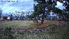 area4-20231114140101.jpg