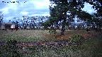area4-20231114141100.jpg