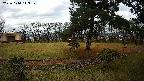 area4-20231114143102.jpg