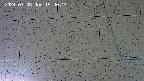 kannonmori-20240708154015.jpg