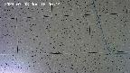 kannonmori-20240708160015.jpg