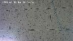 kannonmori-20240708161017.jpg