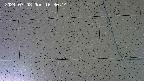 kannonmori-20240708163015.jpg