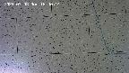 kannonmori-20240708164016.jpg