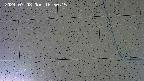 kannonmori-20240708165017.jpg