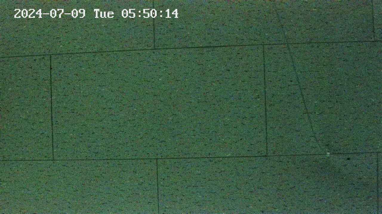 kannonmori-20240709055016.jpg