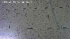 kannonmori-20240709060015.jpg