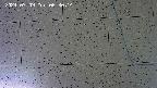 kannonmori-20240709063016.jpg