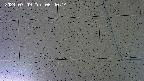 kannonmori-20240709064016.jpg