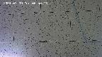 kannonmori-20240709065015.jpg