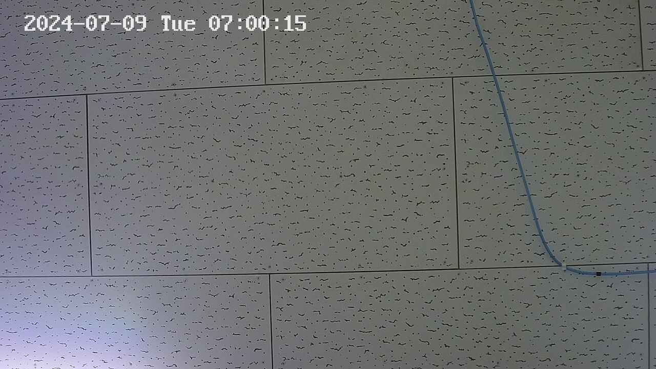 kannonmori-20240709070016.jpg