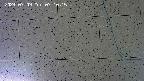 kannonmori-20240709071016.jpg