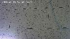 kannonmori-20240709072015.jpg