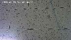 kannonmori-20240709073016.jpg