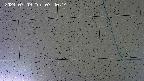 kannonmori-20240709074016.jpg