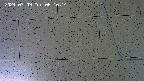 kannonmori-20240709081015.jpg
