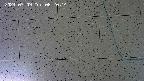 kannonmori-20240709082016.jpg