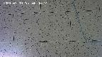 kannonmori-20240709084015.jpg